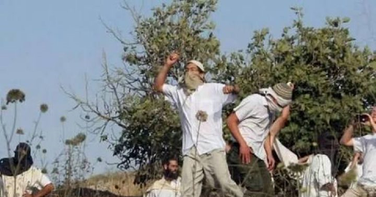 شبكة المنظمات الأهلية تطالب بتوفير الحماية الدولية لشعبنا الفلسطيني
